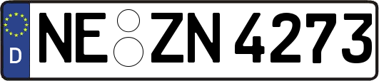 NE-ZN4273