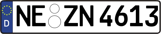 NE-ZN4613
