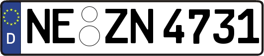NE-ZN4731