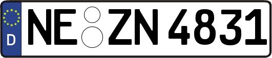 NE-ZN4831