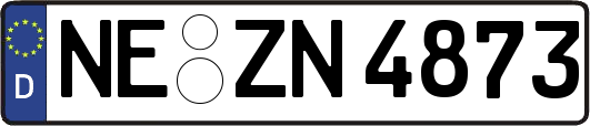 NE-ZN4873