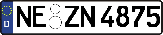 NE-ZN4875