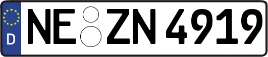 NE-ZN4919