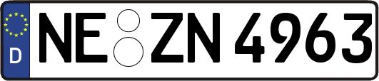 NE-ZN4963