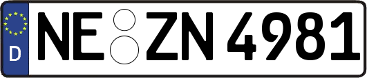 NE-ZN4981