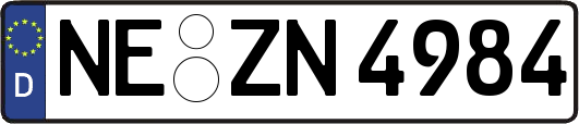 NE-ZN4984