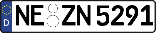 NE-ZN5291