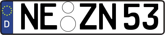 NE-ZN53
