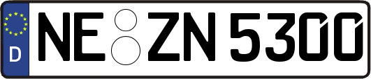 NE-ZN5300