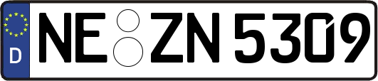 NE-ZN5309