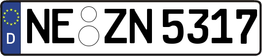 NE-ZN5317