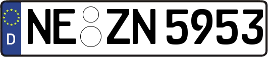 NE-ZN5953