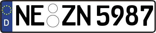 NE-ZN5987