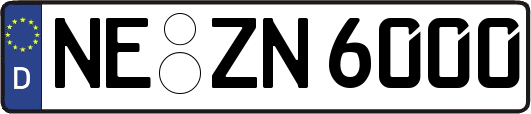 NE-ZN6000