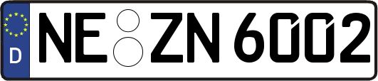 NE-ZN6002