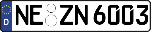 NE-ZN6003