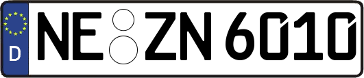 NE-ZN6010