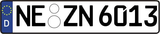 NE-ZN6013