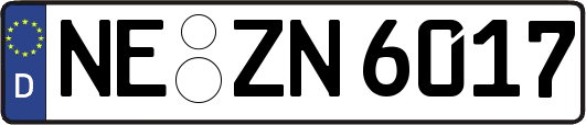 NE-ZN6017