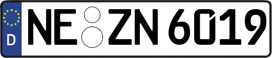 NE-ZN6019