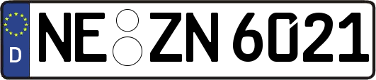 NE-ZN6021