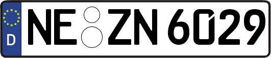 NE-ZN6029