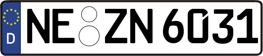 NE-ZN6031