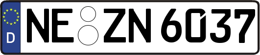 NE-ZN6037