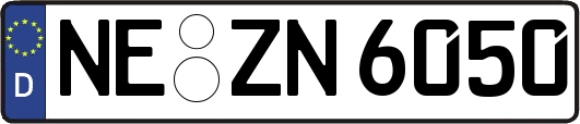 NE-ZN6050