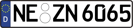 NE-ZN6065