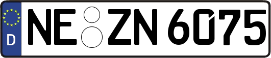 NE-ZN6075