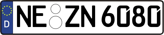 NE-ZN6080