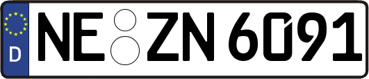 NE-ZN6091