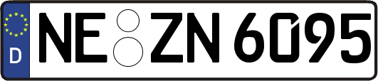 NE-ZN6095