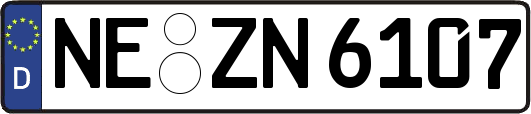 NE-ZN6107