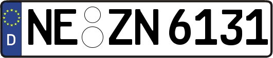 NE-ZN6131