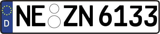 NE-ZN6133