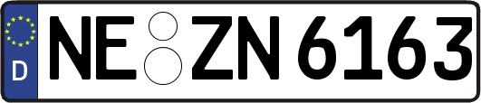 NE-ZN6163