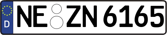NE-ZN6165