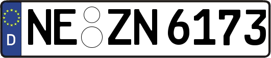 NE-ZN6173
