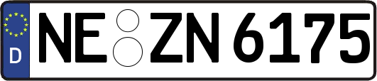 NE-ZN6175