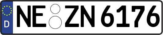 NE-ZN6176