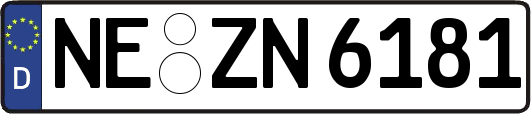 NE-ZN6181