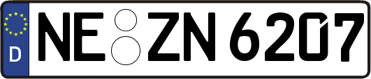 NE-ZN6207