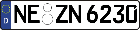 NE-ZN6230