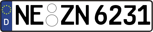 NE-ZN6231