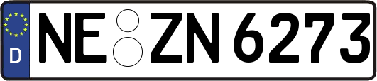NE-ZN6273