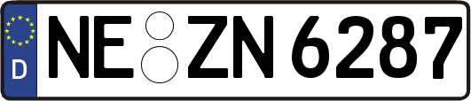 NE-ZN6287