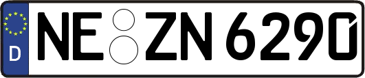 NE-ZN6290