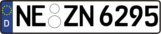 NE-ZN6295